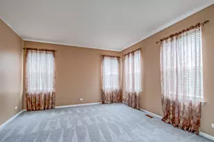 14001 Meadow Ln, Plainfield, IL 60544 - Photo 13