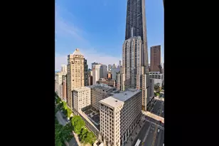 1000 N Lake Shore Plaza, Chicago, IL 60611 - Photo 29