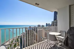 1000 N Lake Shore Plaza, Chicago, IL 60611 - Photo 25