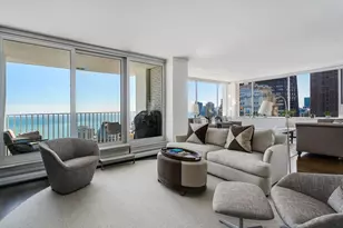 1000 N Lake Shore Plaza, Chicago, IL 60611 - Photo 9