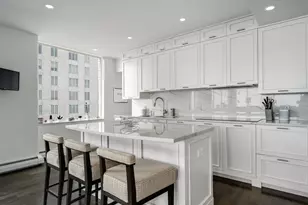 1000 N Lake Shore Plaza, Chicago, IL 60611 - Photo 15