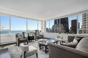 1000 N Lake Shore Plaza, Chicago, IL 60611 - Photo 3