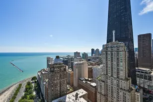1000 N Lake Shore Plaza, Chicago, IL 60611 - Photo 27