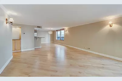 201 E Chestnut Street #3A, Chicago, IL 60611 - Photo 31