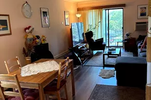 7211 Wolf Rd, Indian Head Park, IL 60525 - Photo 17
