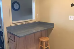 7211 Wolf Rd, Indian Head Park, IL 60525 - Photo 13