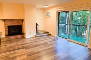 753 S Dwyer Ave, Arlington Heights, IL 60005 - Photo 3