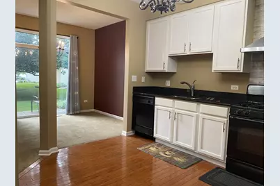 2824 White Thorn Circle, Naperville, IL 60564 - Photo 11