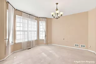 429 W Newbridge Ln, Round Lake, IL 60073 - Photo 9