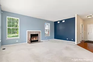 429 W Newbridge Ln, Round Lake, IL 60073 - Photo 17