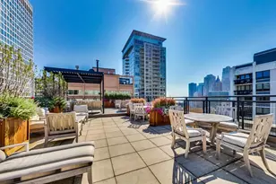 850 N Dewitt Pl, Chicago, IL 60611 - Photo 21