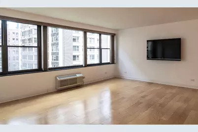 850 N Dewitt Place #10G, Chicago, IL 60611 - Photo 9