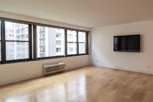 850 N Dewitt Pl, Chicago, IL 60611 - Photo 9