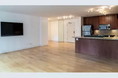 850 N Dewitt Place #10G, Chicago, IL 60611 - Photo 7