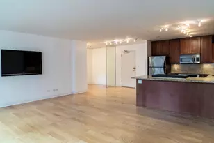 850 N Dewitt Pl, Chicago, IL 60611 - Photo 7