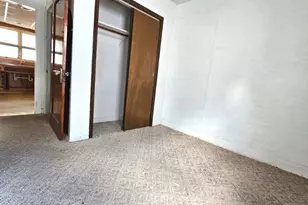 541 McCarthy St, Lemont, IL 60439 - Photo 13