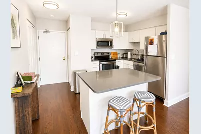 30 E Elm Street #21C, Chicago, IL 60611 - Photo 9
