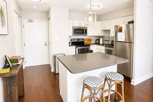 30 E Elm St, Chicago, IL 60611 - Photo 9
