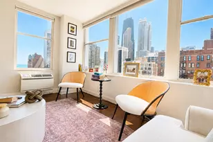 30 E Elm St, Chicago, IL 60611 - Photo 3