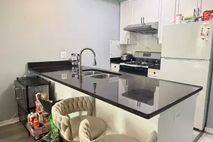 974 W 35th Pl, Chicago, IL 60609 - Photo 3