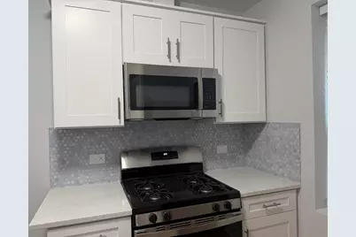 1014 S Humphrey Avenue S #1N, Oak Park, IL 60304 - Photo 3