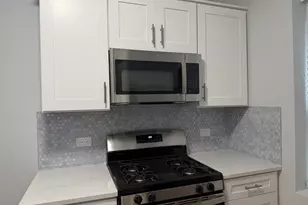 1014 S Humphrey Ave S, Oak Park, IL 60304 - Photo 3