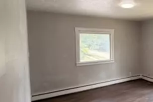 114 E Lincoln St, Saybrook, IL 61770 - Photo 3