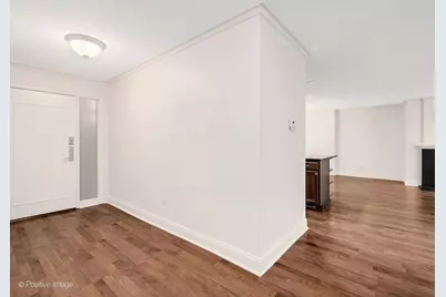 1 Oak Brook Club Drive #A310, Oak Brook, IL 60523 - Photo 5
