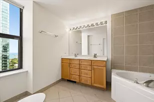 41 E 8th St, Chicago, IL 60605 - Photo 19