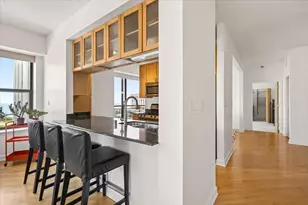 41 E 8th St, Chicago, IL 60605 - Photo 7