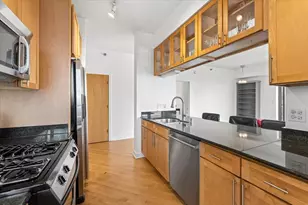 41 E 8th St, Chicago, IL 60605 - Photo 9
