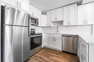 1360 N Sandburg Terrace, Chicago, IL 60610 - Photo 9