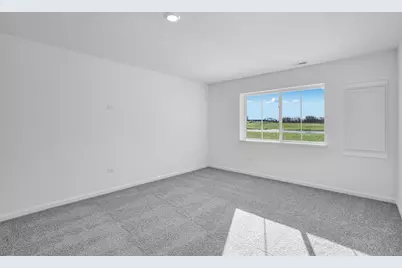 12239 Tinsley Street, Huntley, IL 60142 - Photo 9