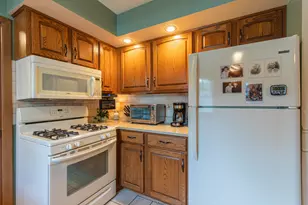301 9th St, Mendota, IL 61342 - Photo 9