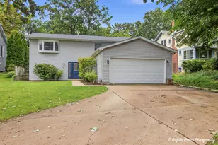 25194 W Buena Ave, Lake Villa, IL 60046 - Photo 1