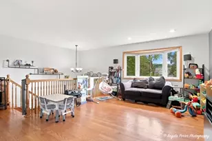 25194 W Buena Ave, Lake Villa, IL 60046 - Photo 13