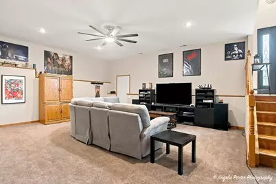 25194 W Buena Avenue, Lake Villa, IL 60046 - Photo 9