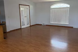 22943 S Big Run Dr, Frankfort, IL 60423 - Photo 5
