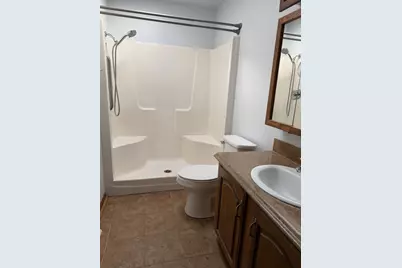 22943 S Big Run Drive, Frankfort, IL 60423 - Photo 11