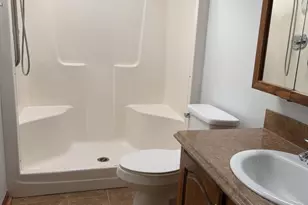 22943 S Big Run Dr, Frankfort, IL 60423 - Photo 11