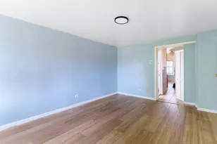 5114 S Justine St, Chicago, IL 60609 - Photo 9