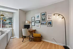 211 E Ohio St, Chicago, IL 60611 - Photo 7