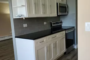 225 S Rohlwing Rd, Palatine, IL 60074 - Photo 9