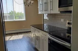 225 S Rohlwing Rd, Palatine, IL 60074 - Photo 11