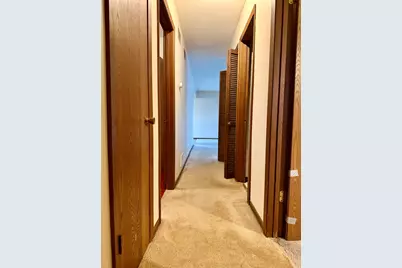471 Aspen Drive, New Lenox, IL 60451 - Photo 19