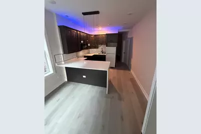 3424 W Walnut Street, Chicago, IL 60624 - Photo 3