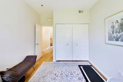 320 E 17th Street, Chicago, IL 60616 - Photo 23