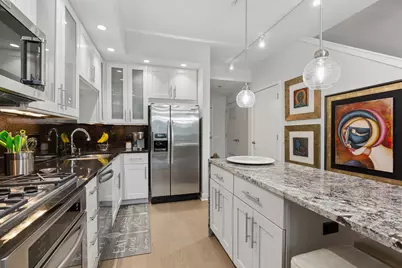 505 N McClurg Court #204, Chicago, IL 60611 - Photo 7