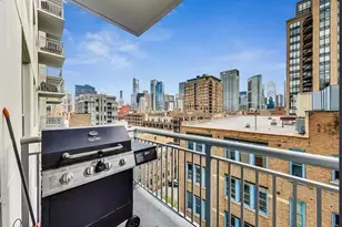 421 W Huron St, Chicago, IL 60654 - Photo 9