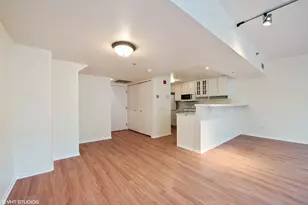 61 W 15th St, Chicago, IL 60605 - Photo 3